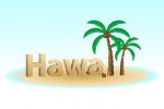 Hawaii Scenery Illustration